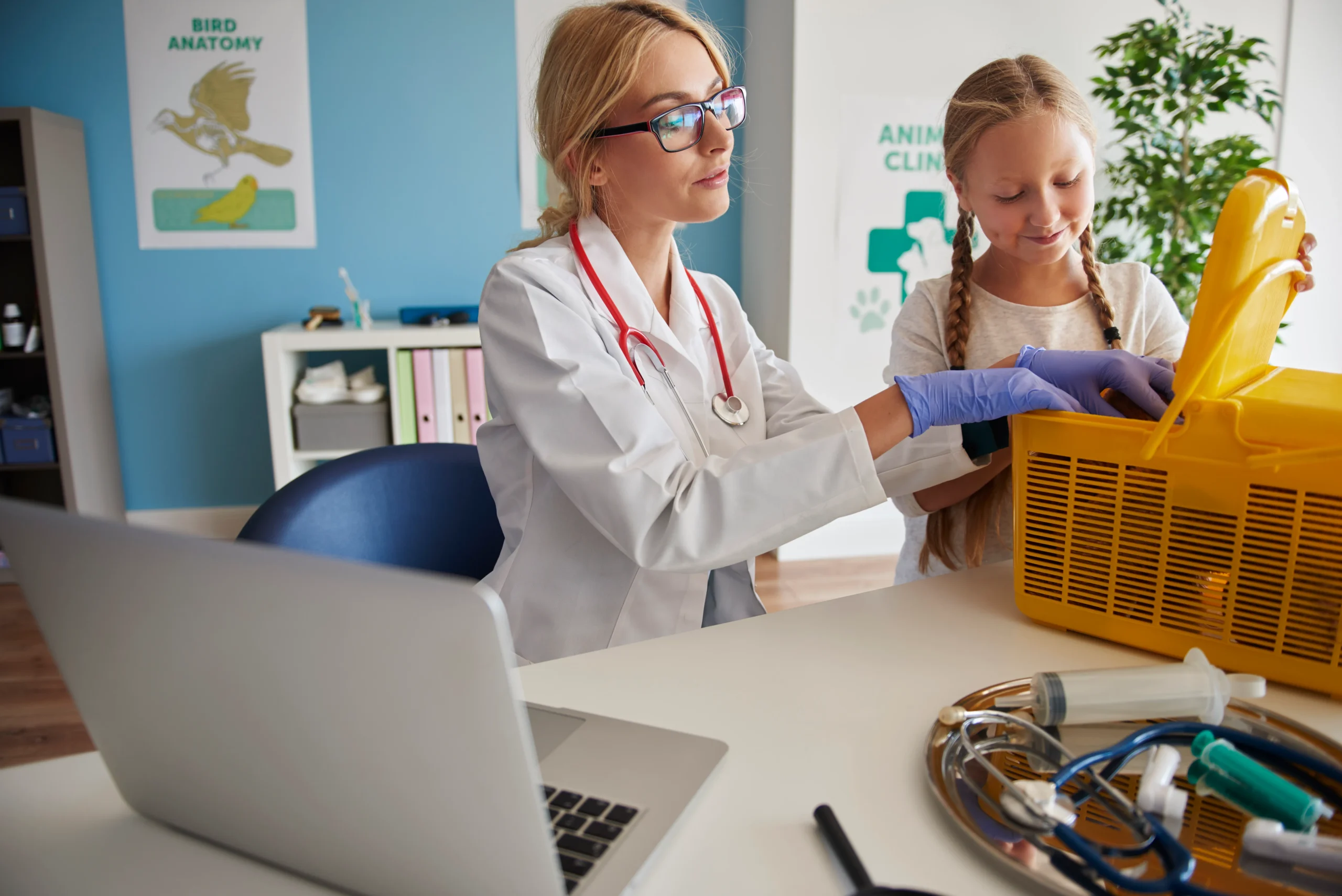 Read more about the article Programme EVC Pédiatrie : Les Sujets à Travailler en 2026