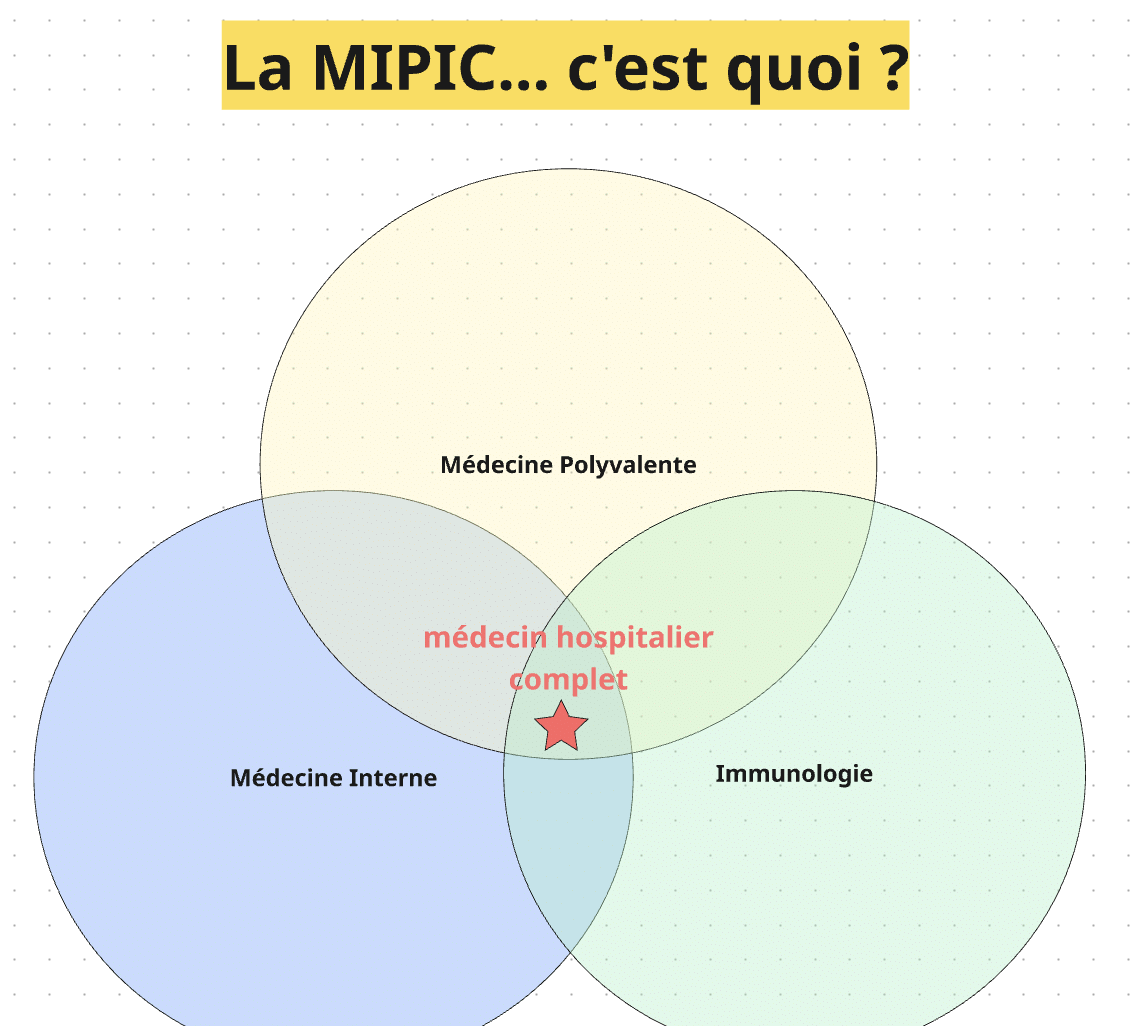Schéma de la MIPIC : la médecine interne polyvalente et immunologie clinique réunit la médecine polyvalente, la médecine interne et l’immunologie, pour former un médecin hospitalier complet